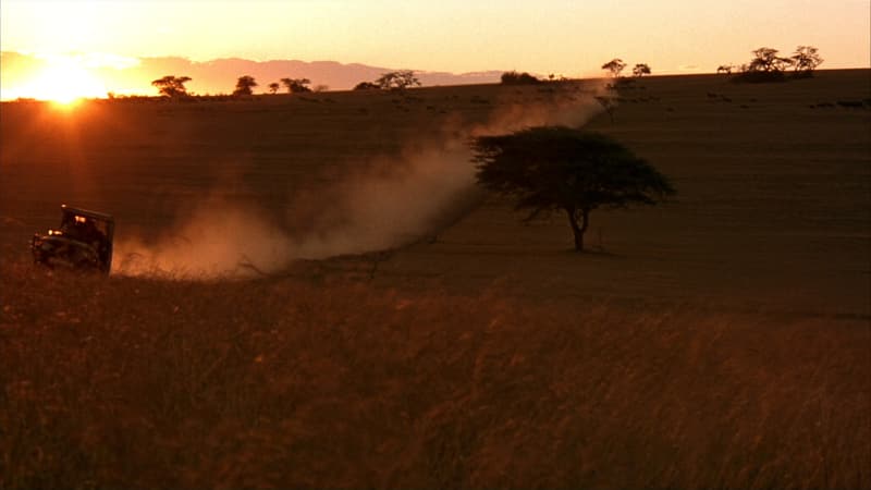 Gari la safari likipita kwenye uwanda wa Serengeti wakati wa machweo, likiacha vumbi la dhahabu nyuma